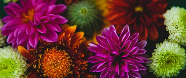 教练场边的 教练场边的